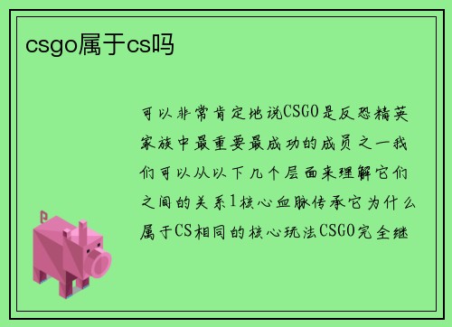 csgo属于cs吗